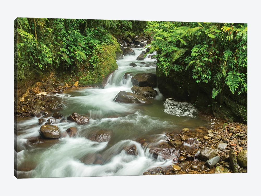 Costa Rica, La Paz River Valley. Rainforest Stream In La Paz Waterfall Garden. by Jaynes Gallery 1-piece Art Print