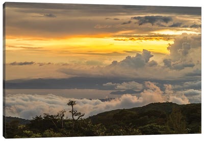 Costa Rica, Monte Verde Cloud Forest Reserve. Sunset Landscape. Canvas Art Print