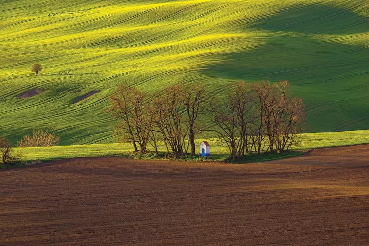 Czech Republic, Moravia. Small Chapel In Trees And Field.