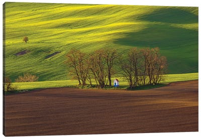 Czech Republic, Moravia. Small Chapel In Trees And Field. Canvas Art Print - Czech Republic Art