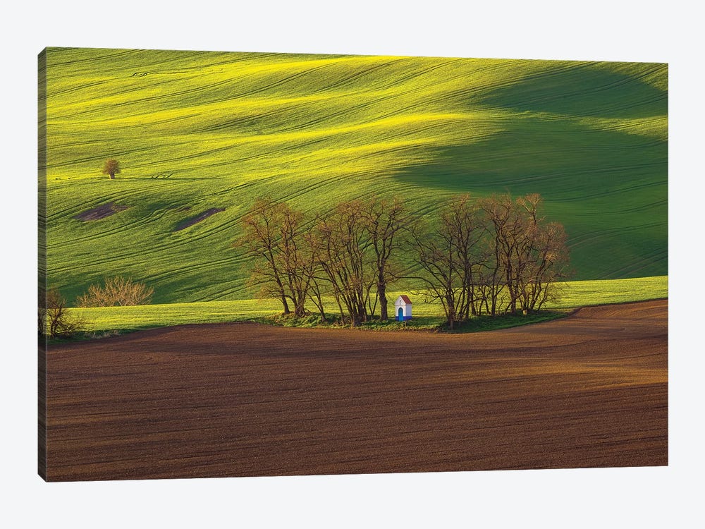 Czech Republic, Moravia. Small Chapel In Trees And Field. by Jaynes Gallery 1-piece Art Print