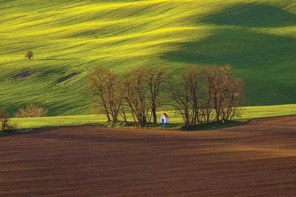 Czech Republic, Moravia. Small Chapel In Trees And Field.