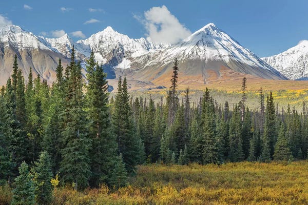 Yukon: Canada, Yukon Territory, Kluane National Park. Landscape with St. Elias Range. by Jaynes Gallery
