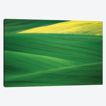 Europe, Czech Republic. Moravia Wheat And Canola Fields. Canvas Print #JYG909} by Jaynes Gallery Canvas Artwork