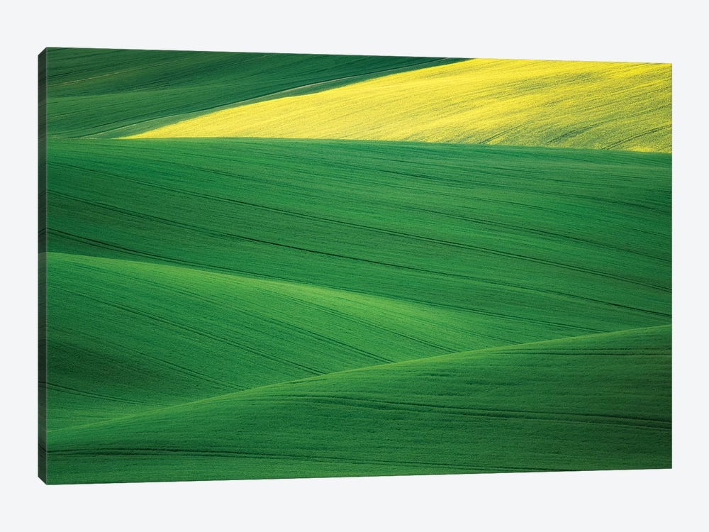 Europe, Czech Republic. Moravia Wheat And Canola Fields. by Jaynes Gallery 1-piece Canvas Art Print