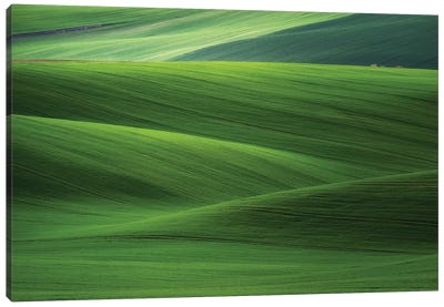 Europe, Czech Republic. Moravia Wheat Fields. Canvas Art Print - Czech Republic Art