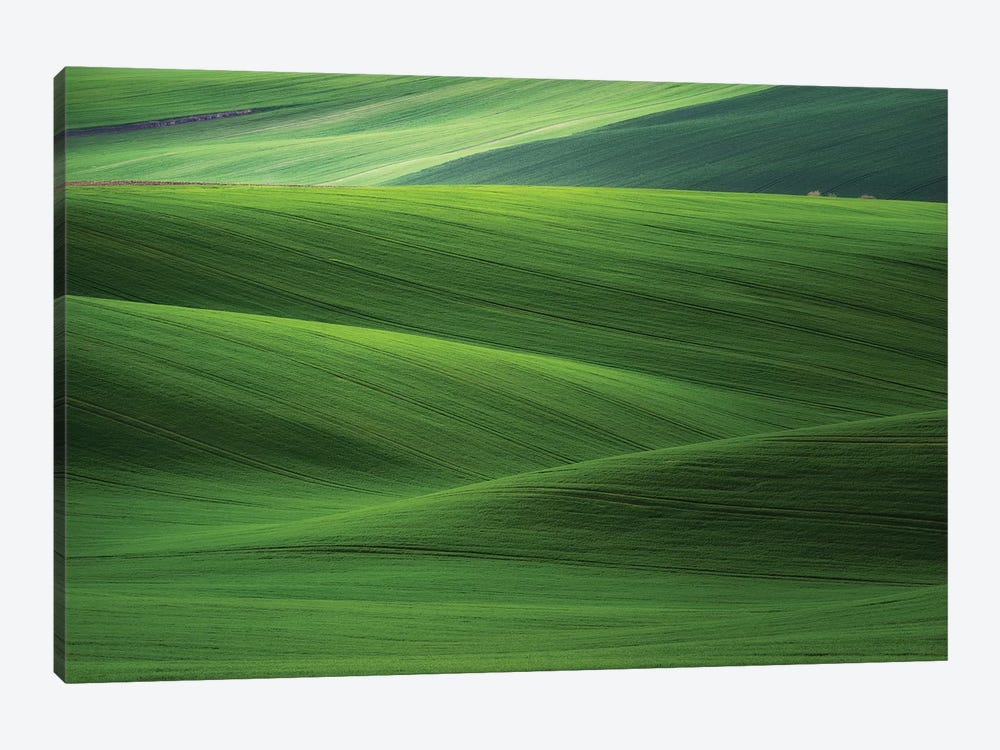Europe, Czech Republic. Moravia Wheat Fields. by Jaynes Gallery 1-piece Art Print