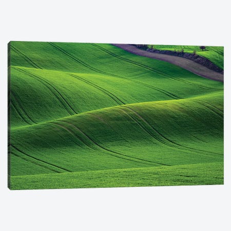 Europe, Czech Republic. Moravia Wheat Fields. Canvas Print #JYG911} by Jaynes Gallery Canvas Art Print
