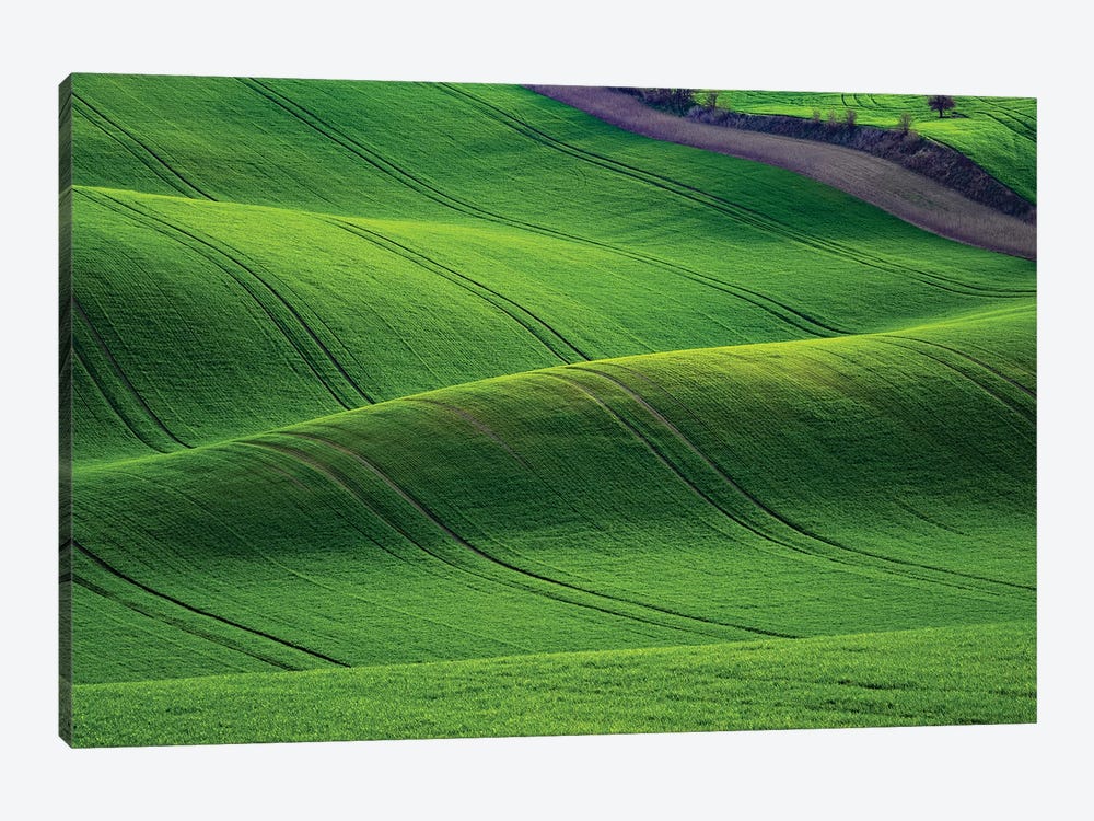 Europe, Czech Republic. Moravia Wheat Fields. by Jaynes Gallery 1-piece Canvas Wall Art