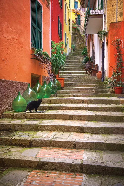 Europe, Italy, Monterosso. Cat On Long Stairway.