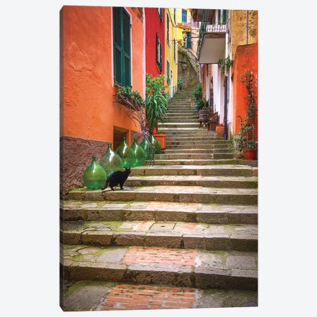 Europe, Italy, Monterosso. Cat On Long Stairway. Canvas Print #JYG924} by Jaynes Gallery Art Print