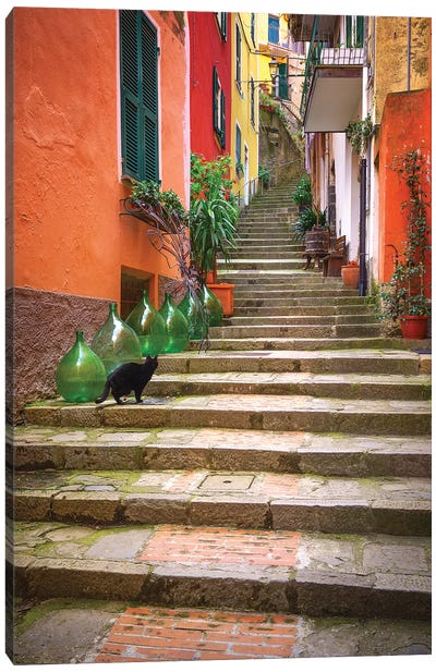 Europe, Italy, Monterosso. Cat On Long Stairway. Canvas Art Print - Stairs & Staircases