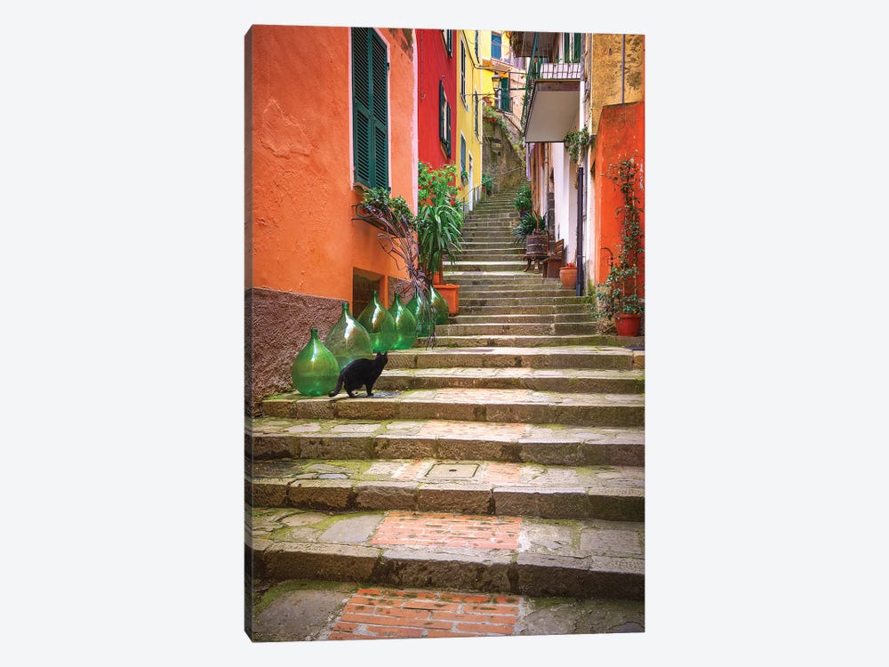 Europe, Italy, Monterosso. Cat On Long Stairway. by Jaynes Gallery 1-piece Canvas Wall Art