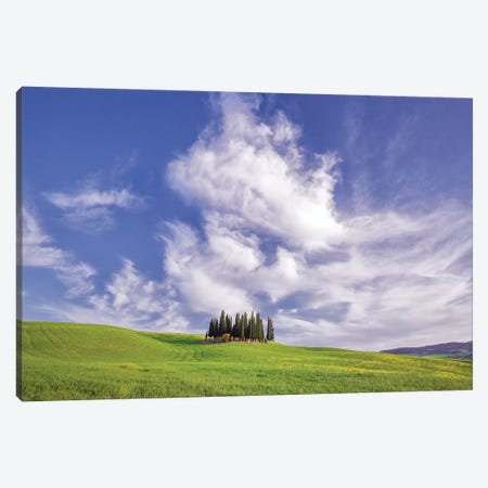 Europe, Italy, Tuscany, Val D' Orcia. Cypress Grove In Landscape. Canvas Print #JYG927} by Jaynes Gallery Art Print