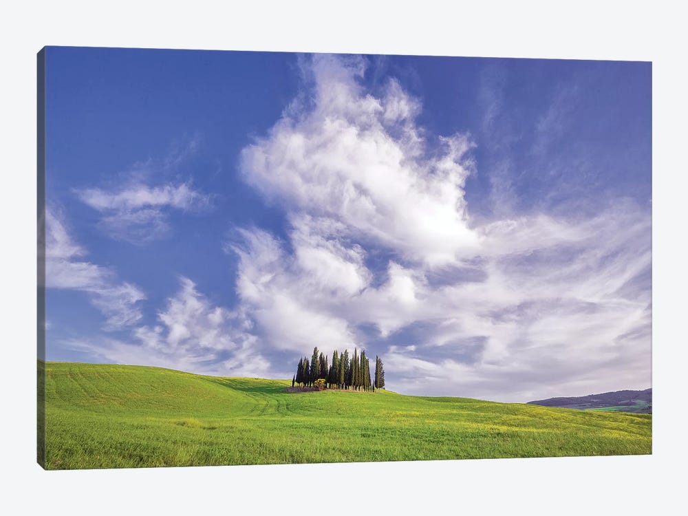 Europe, Italy, Tuscany, Val D' Orcia. Cypress Grove In Landscape. by Jaynes Gallery 1-piece Art Print
