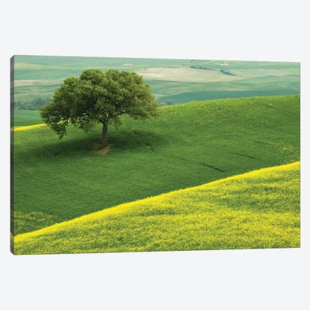 Europe, Italy, Tuscany. Hilly Landscape. Canvas Print #JYG929} by Jaynes Gallery Canvas Wall Art