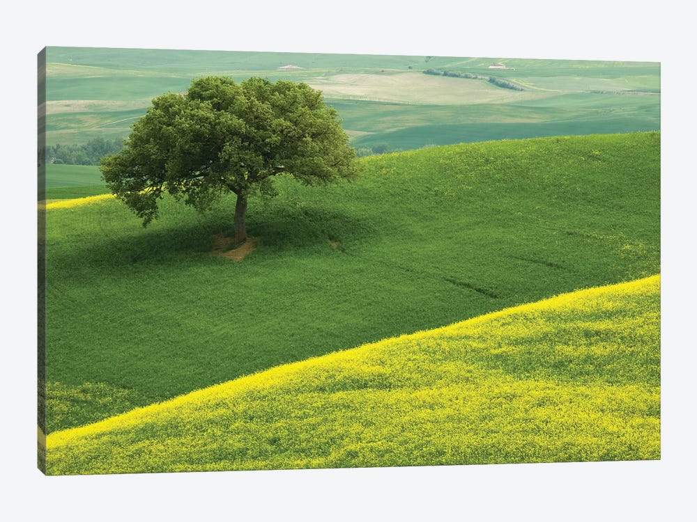 Europe, Italy, Tuscany. Hilly Landscape. by Jaynes Gallery 1-piece Canvas Print