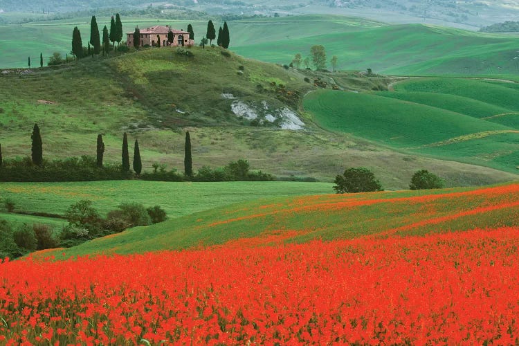 Europe, Italy, Tuscany. The Belvedere Villa Landmark And Farmland.