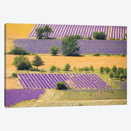 France, Provence, Sault Plateau. Overview Of Lavender Crop Patterns And Wheat Fields. Canvas Print #JYG939} by Jaynes Gallery Art Print