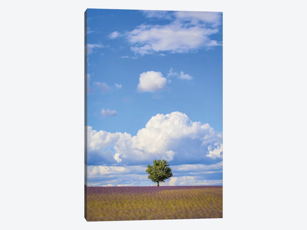 France, Provence, Valensole Plateau. Field Of Lavender And Tree. by Jaynes Gallery 1-piece Art Print