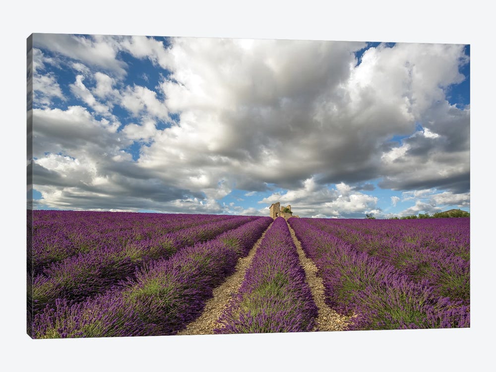 France, Provence, Valensole Plateau. Lavender Rows And Stone Building Ruin. by Jaynes Gallery 1-piece Canvas Wall Art