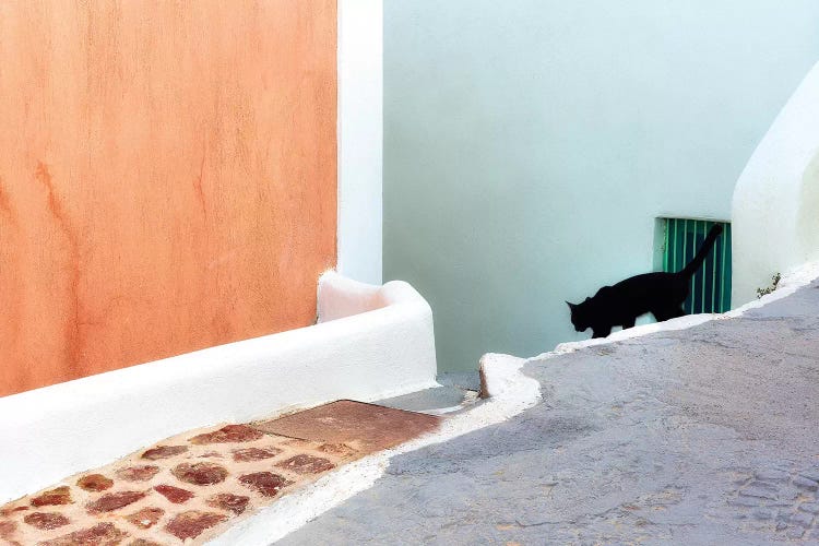 Greece, Santorini. Black Cat Descending Stairway.