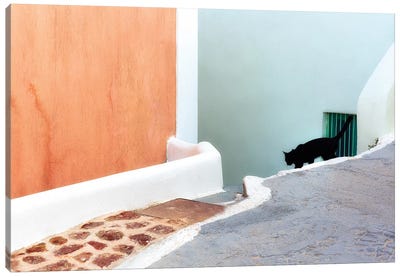 Greece, Santorini. Black Cat Descending Stairway. Canvas Art Print - Santorini Art