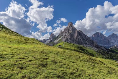Italy, Dolomites, Giau Pass. Mountain Meadow. by Jaynes Gallery canvas print