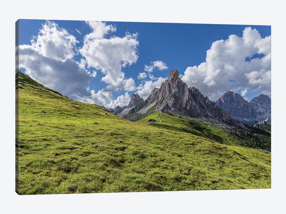 Italy, Dolomites, Giau Pass. Mountain Meadow. by Jaynes Gallery 1-piece Canvas Art
