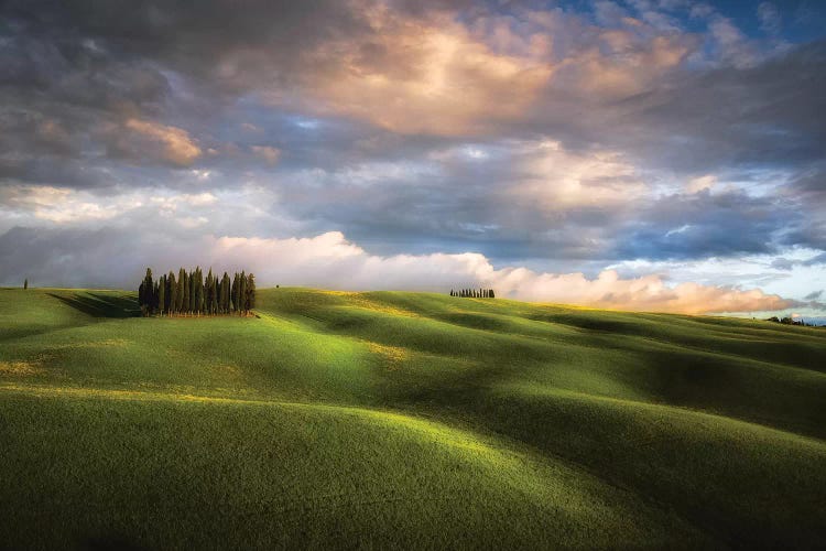 Italy, Tuscany, Val D'Orcia. Cypress Grove And Clouds At Sunset.