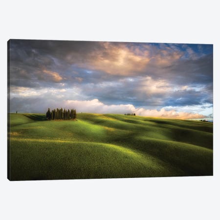 Italy, Tuscany, Val D'Orcia. Cypress Grove And Clouds At Sunset. Canvas Print #JYG979} by Jaynes Gallery Canvas Art Print