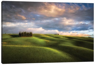 Italy, Tuscany, Val D'Orcia. Cypress Grove And Clouds At Sunset. Canvas Art Print