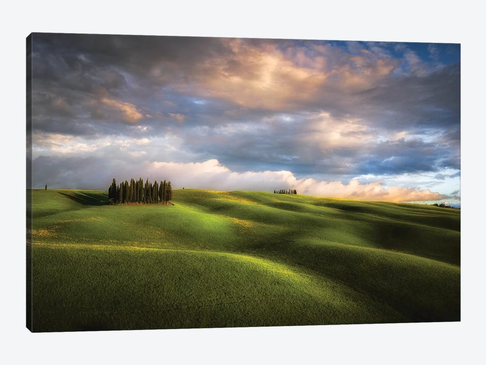 Italy, Tuscany, Val D'Orcia. Cypress Grove And Clouds At Sunset. by Jaynes Gallery 1-piece Canvas Art
