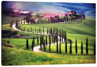 Italy, Tuscany, Val D'Orcia. Farm Landscape. Canvas Art Print