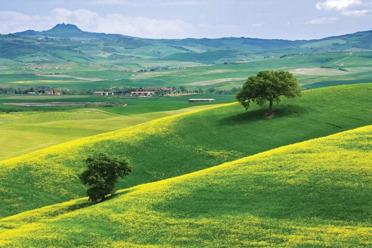 Italy, Tuscany. Hilly Landscape.