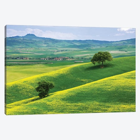 Italy, Tuscany. Hilly Landscape. Canvas Print #JYG984} by Jaynes Gallery Art Print
