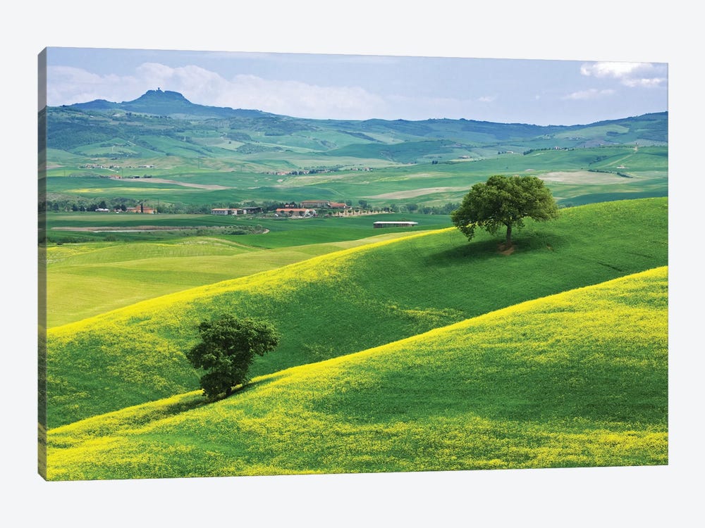 Italy, Tuscany. Hilly Landscape. by Jaynes Gallery 1-piece Canvas Artwork