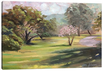 Cherry Blossom Canvas Art Print - Jay Johnson