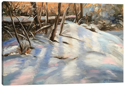 A Winters Day Canvas Art Print - Jay Johnson