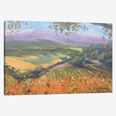 Santa Ynez Vineyards Canvas Print #JYJ60} by Jay Johnson Art Print