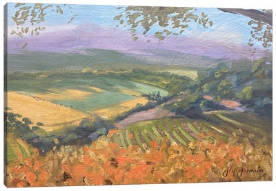Santa Ynez Vineyards Canvas Art Print - Vineyard Art