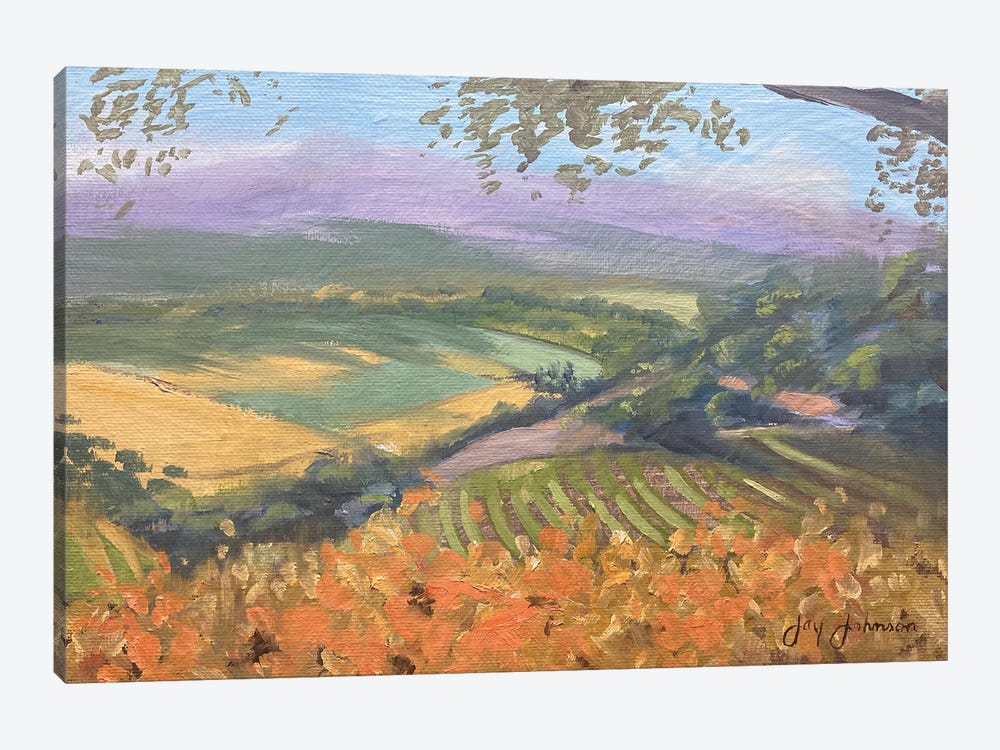 Santa Ynez Vineyards by Jay Johnson 1-piece Canvas Art