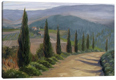 Tuscany Path Canvas Art Print - Jay Johnson