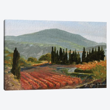 Autumn Vineyard Canvas Print #JYJ6} by Jay Johnson Canvas Print