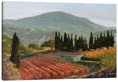Autumn Vineyard Canvas Art Print - Jay Johnson
