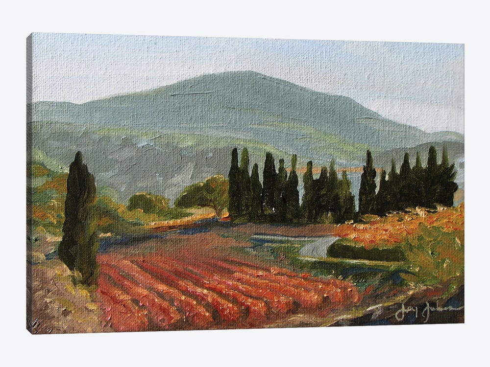 Autumn Vineyard by Jay Johnson 1-piece Canvas Print
