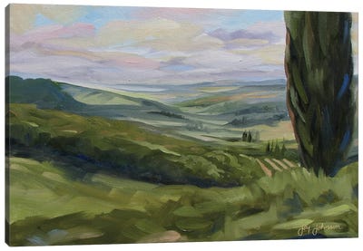 View From Siena Canvas Art Print - Jay Johnson