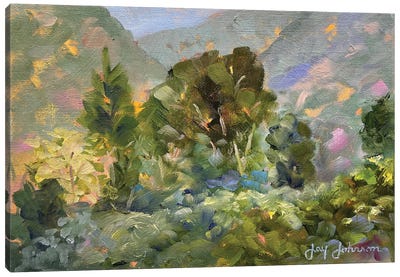 Palace Verdes Canvas Art Print - Jay Johnson