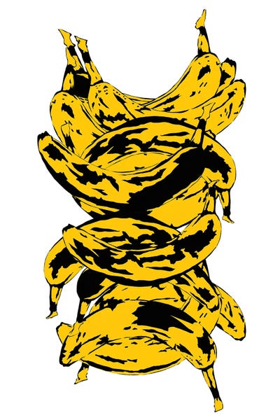 Bananas: Band Of Bananas White by Jaymie Metz