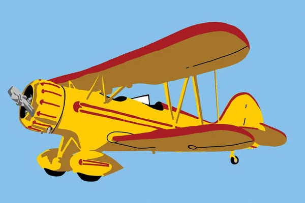 Similar To Andy Warhol: Antique Air Plane by Jaymie Metz